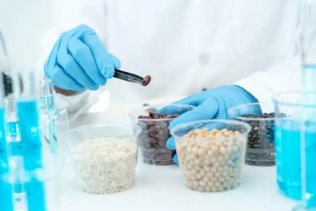 Come la Biotecnologia Sta Trasformando la Medicina Moderna